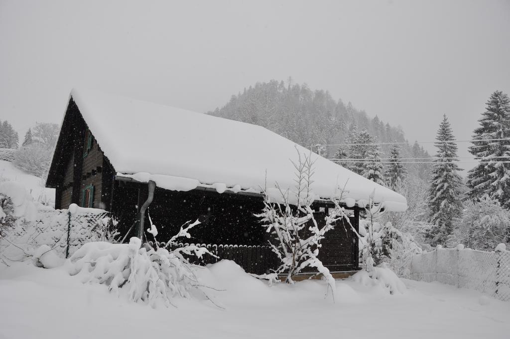 Holzhaus In Hinterstoder Villa Luaran gambar
